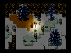 The Frozen ravine